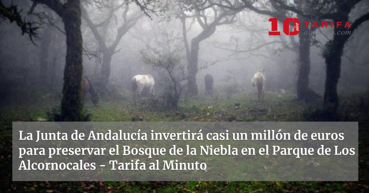 Casi un millón de euros para el Bosque de la Niebla en el Parque de Los ...