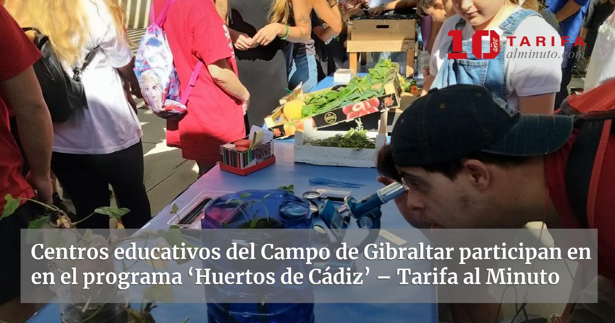 Centros educativos del Campo de Gibraltar participan en en el programa ...