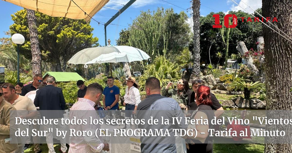 Descubre todos los secretos de la IV Feria del Vino «Vientos del Sur ...