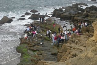 Cigüeña Negra coordina un año más los itinerarios de inspección dentro del Programa Coastwatch