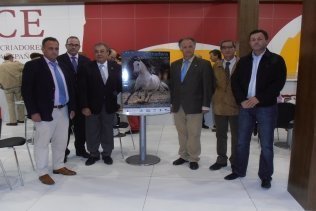 El concurso equino de Tarifa se promociona en Sevilla