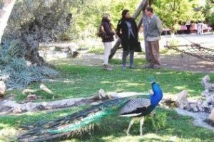 El Área de Turismo de Mancomunidad visita en Jimena el Parque las Aves