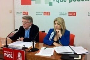El PSOE advierte de un cambio en las bases del Plan Reindus para Cádiz