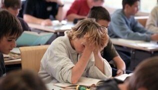 Los interinos creen que el Gobierno quiere "privatizar la educación pública"