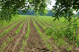 El fomento del empleo agrario dejará 15.570.639 millones en la provincia