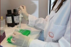 Andalucía desarrollará cuatro nuevos proyectos de reprogramación celular