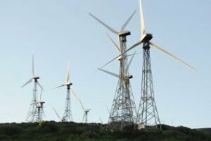 Ecologistas abogan por las energías renovables para enriquecer Andalucía