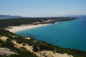 Bolonia, entre las playas más bonitas de España, según un estudio de Muchoviaje.com