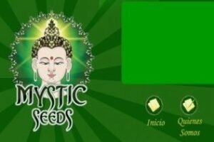 Nos encanta internet: mysticseedsbank.com