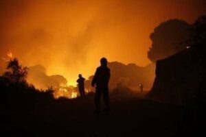 Este año han ardido 224 hectáreas en 45 incendios en la comarca