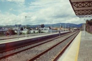 El PP comarcal abordará una propuesta para defender la conexión entre Algeciras y Granada por tren