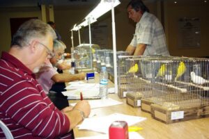 El III Campeonato Ornitológico comarcal reúne a más de 2.500 aves