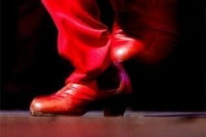 Las jornadas empresariales "Flamenco De Orilla a Orilla" 9 y 10 en la Cámara