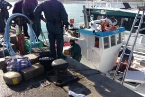 Intervenidos 780 kilos de hachís en el muelle pesquero de Algeciras
