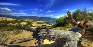 El Gobierno andaluz aprueba un decreto-ley de medidas urgentes para proteger los espacios no urbanizados del litoral