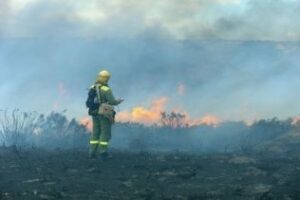 La Junta distingue la labor de Verdemar en la prevención de incendios