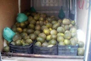 La Policía censura a agentes por llevarse fruta intervenida a vendedores ambulantes