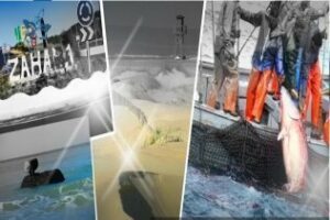 FITUR: Cádiz presenta el ronqueo del atún para destacar la pesca y la almadraba como recursos turísticos