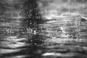 El plazo de solicitud para la ayuda por las lluvias del 25 Oct empieza hoy