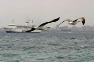 El temporal de poniente obliga a cerrar el puerto de Tarifa