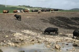 Moscoso: El PP margina a los agricultores y ganaderos de la provincia"