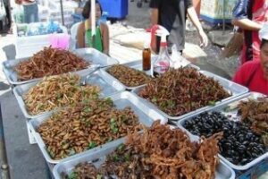 Naciones Unidas propone alimentarse con insectos para combatir el hambre