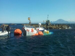 Salvamento Marítimo rescata a los 4 tripulantes de un pesquero hundido en las proximidades de Punta Carnero