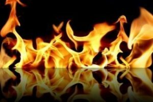Un incendio de arbolado en La Línea afecta a dos hectáreas