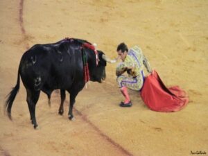 La Tauromaquia es declarada patrimonio cultural y el PP afirma que "los toros volverán a Cataluña"