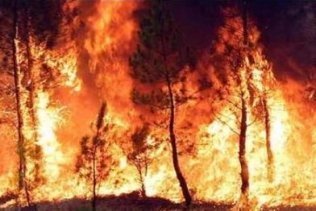 El Ayto insiste en prevenir incendios forestales