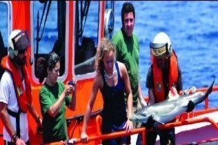 Sí se puede/ Liberan a una cría de delfín que quedó atrapada en un trasmallo