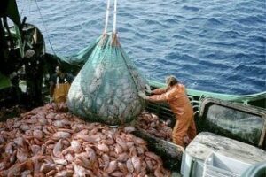 El Gobierno de Gibraltar reitera su posición en materia pesquera