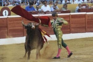 Los toros pasan al Senado como patrimonio cultural español