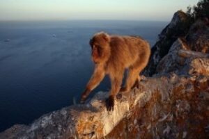 Gibraltar a punto de ofrecer 100% de Wi-Fi en sus emplazamientos turísticos