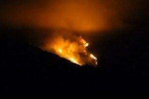 Infoca da por controlado el incendio forestal de Algeciras tras 80 hectáreas afectadas