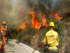 Estabilizado el incendio forestal declarado en Sierra Carbonera entre La Línea y San Roque