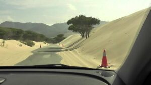 La Junta acometerá la variante de la carretera de la duna de Valdevaqueros dentro del plan para el Brexit