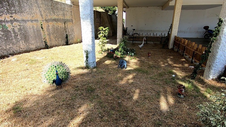 En pocos días han desaparecido las figuras que decoraban jardines de la barriada Jesús Nazareno