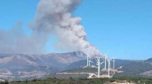 Extinguido el incendio del paraje Tajo de las Escobas en Tarifa, que ha afectado 12,5 hectáreas