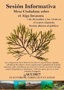 La mesa cívica contra el alga invasora celebra el domingo una jornada abierta a los ciudadanos