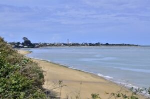 Equo Tarifa pide que se paralice el proyecto de bolsas de estacionamientos en el Parque Natural.