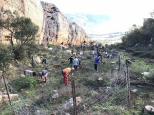 Más de 170 personas participan en las actividades de concienciación del Parque Natural del Estrecho