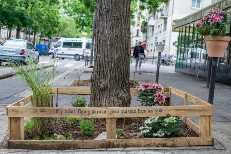 Paris permite por ley cultivar comida sana en cualquier lugar de la ciudad