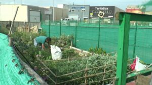 La actividad de los pensionistas regresa a los huertos sociales y de ocio de La Vega