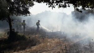 Los bomberos controlan un incendio en Los Tornos cuya causa apunta a un tendido eléctrico