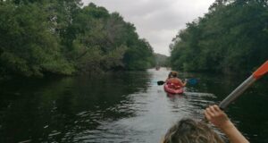 La ruta en kayak por el río Palmones: Una experiencia única en un enclave mágico y desconocido