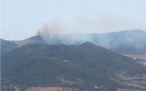 Extinguido el incendio forestal del paraje Sierra del Cabrito de Tarifa tras afectar a 5,5 hectáreas