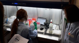 La vacuna de la Universidad de Oxford produce una fuerte respuesta inmune, según estudios preliminares