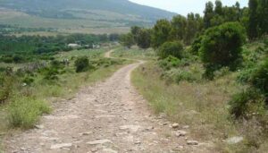 El Ayuntamiento crea un foro de participación para los colectivos que conviven en el Parque Natural