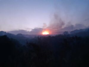 El Infoca da por extinguido en incendio de El Carrascal que ha afectado a 11,5 hectáreas